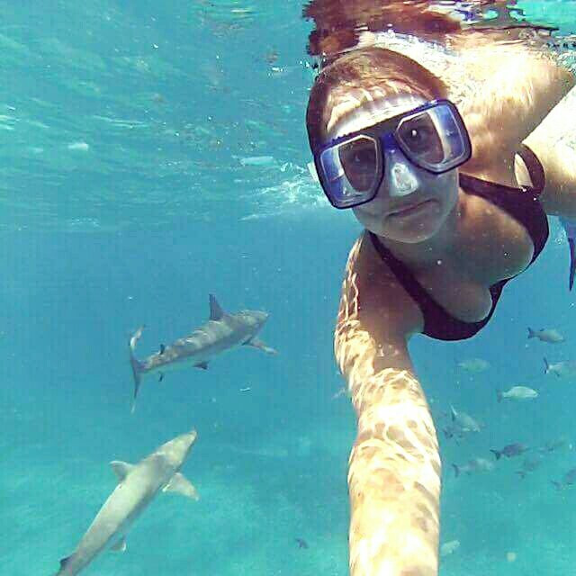 Bimini Undersea景点图片