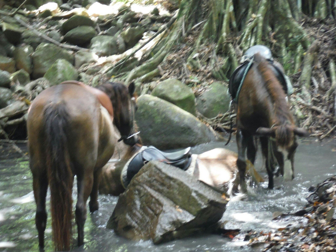 Ranch Jack-Trois-Ilets必去景点