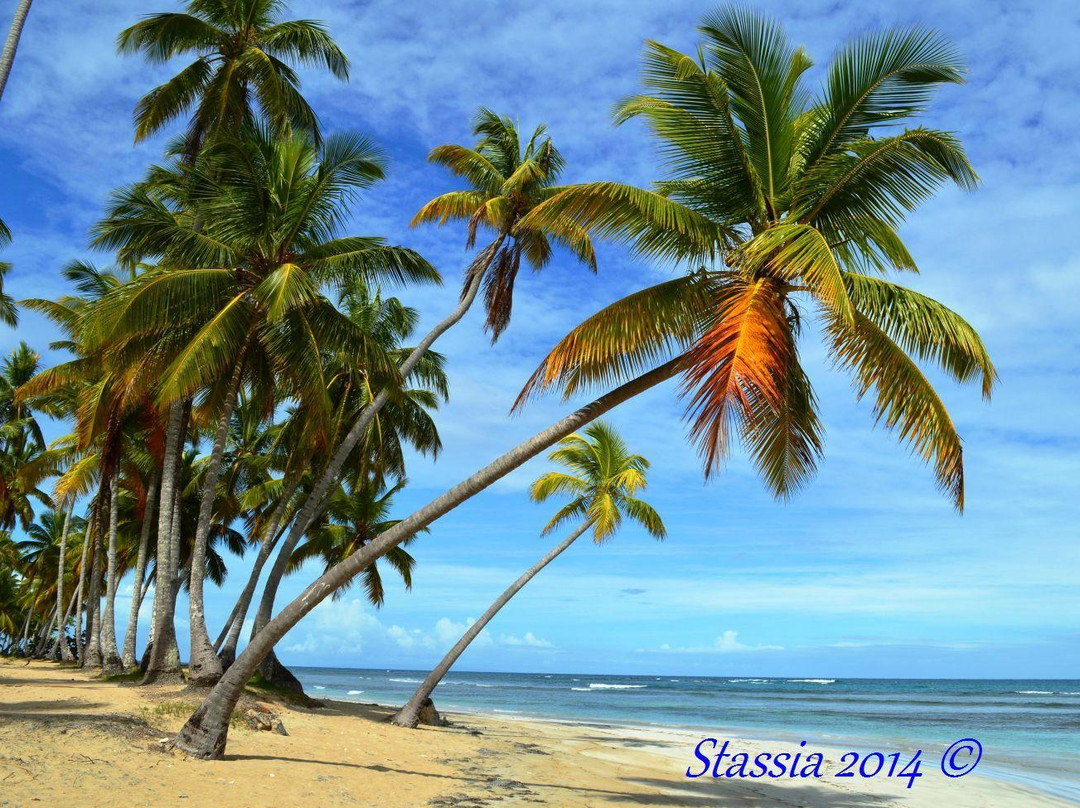 Playa Bonita-拉斯特拉纳斯必去景点