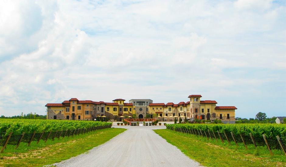 Colaneri Estate Winery景点图片
