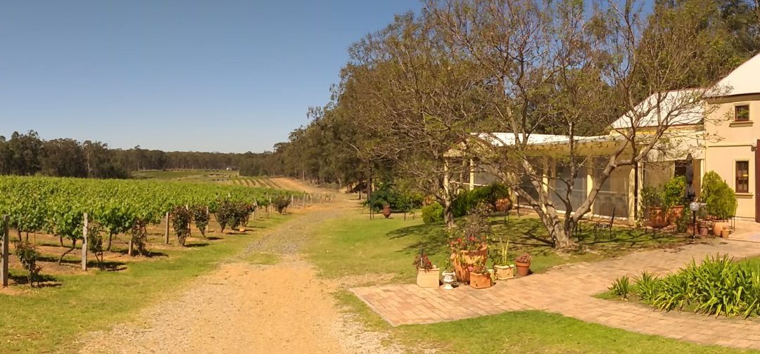 Tintilla Estate Wines景点图片