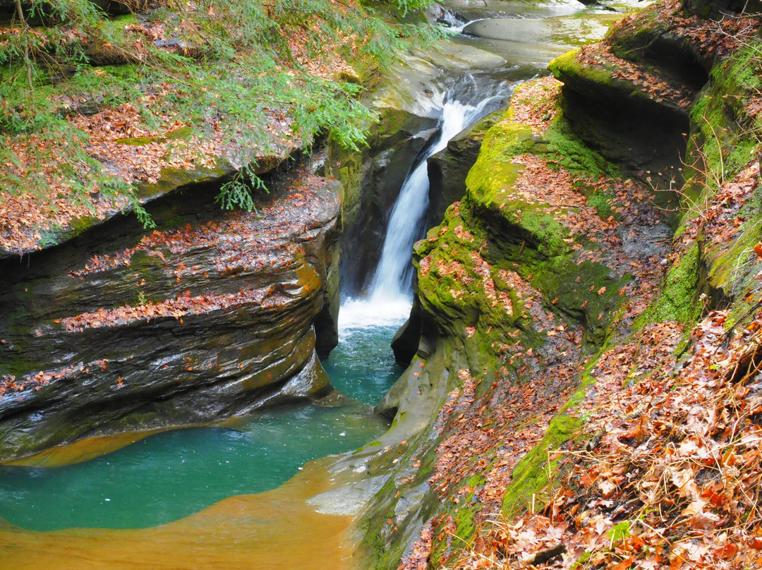Boch Hollow State Nature Preserve