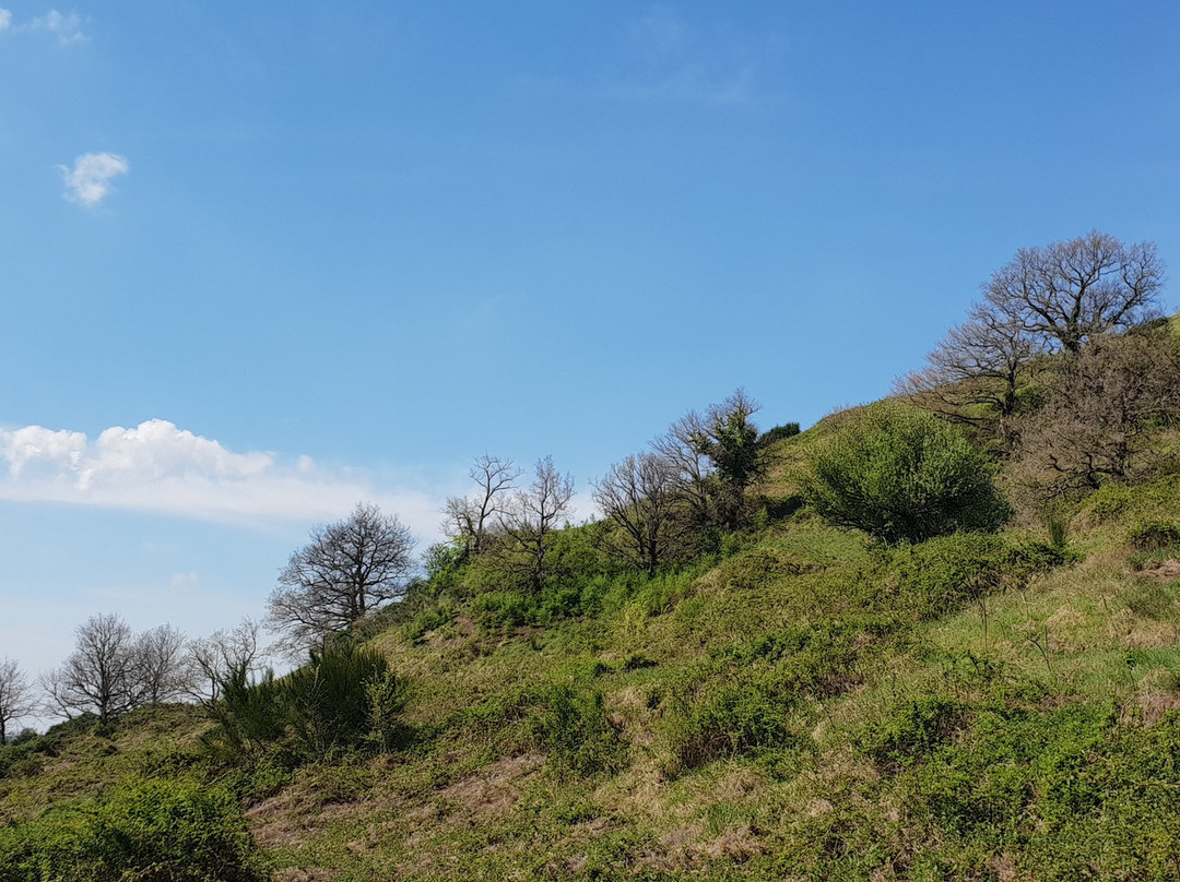 Monte Tuscolo-Monte Porzio Catone必去景点