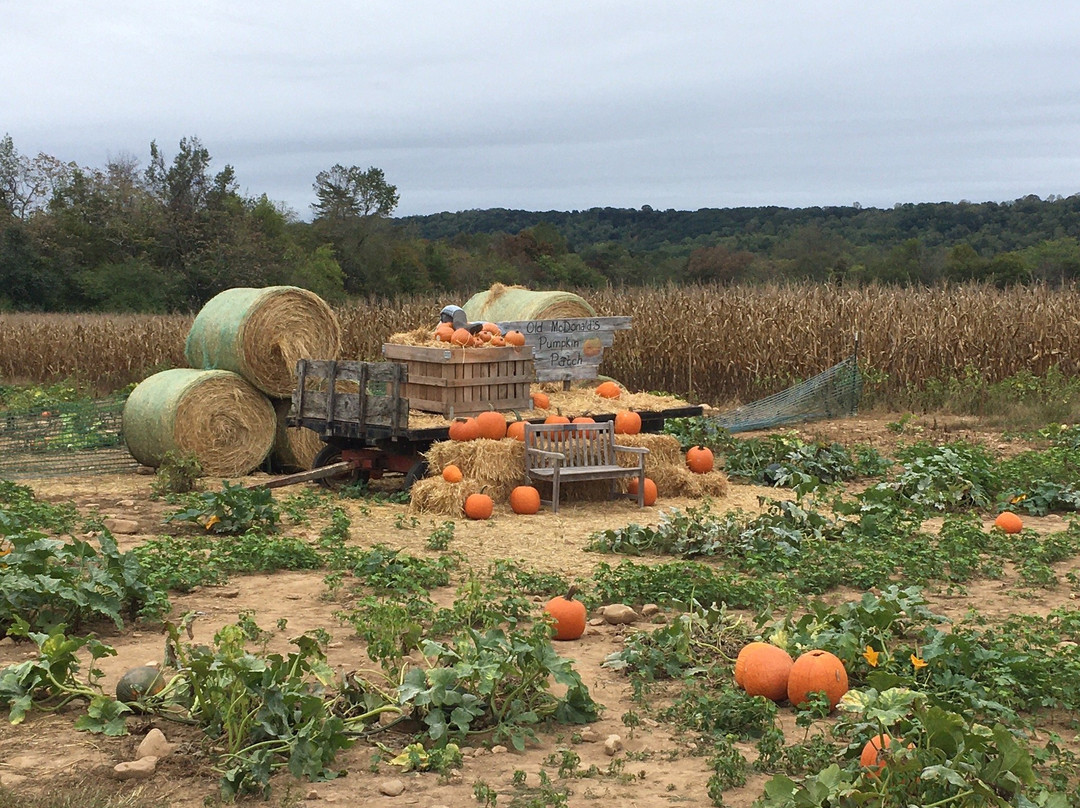 Old McDonald's Farm-Sale Creek必去景点