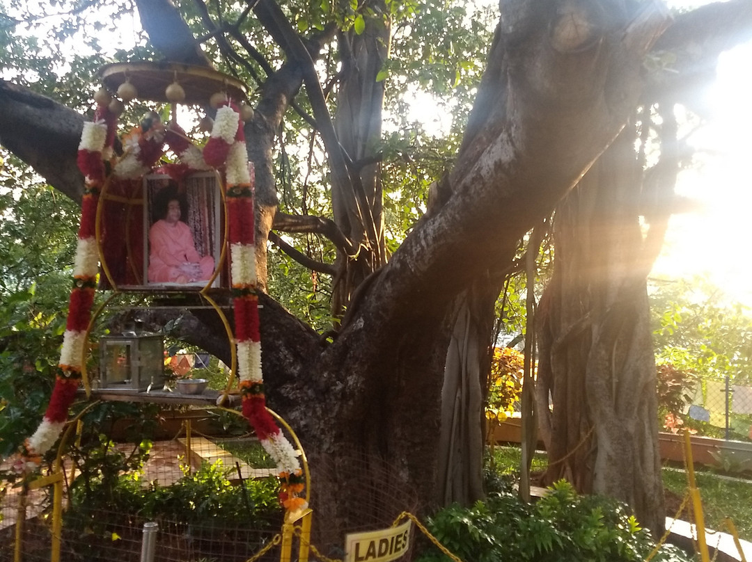 Vata Vriksha (Meditation Tree)景点图片