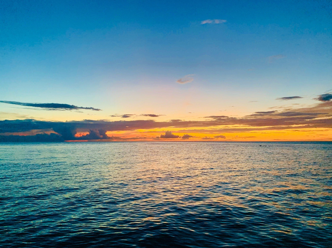 Beachin' Charters-西耶斯塔岛必去景点