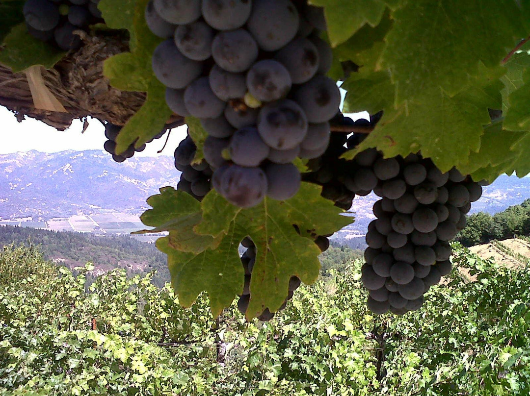 Valet of the Moon Wine Tours-索诺玛必去景点