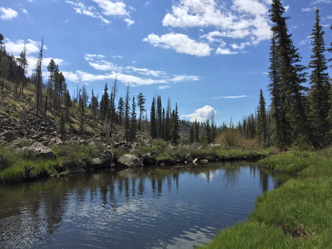 Thompson Trail (Forest Service Trail 629)景点图片