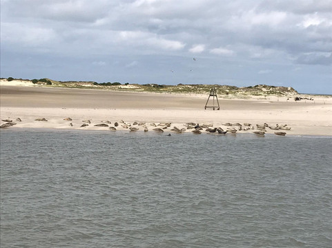 Baltrum Linie-Baltrum必去景点