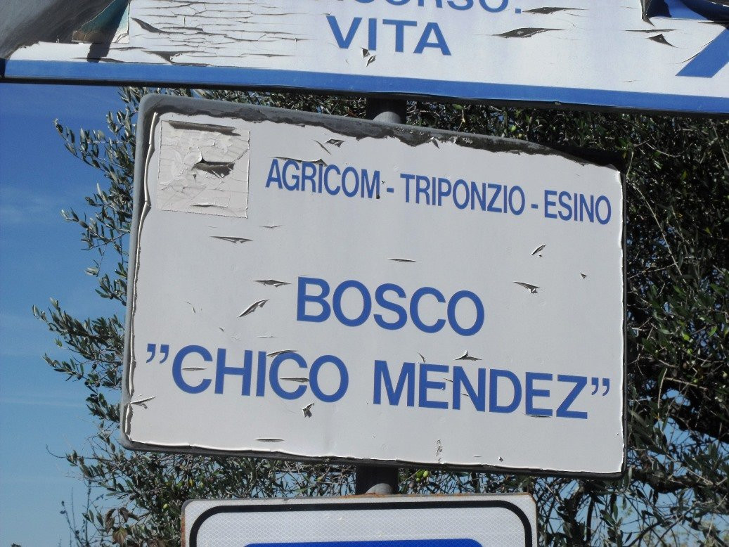 Parco Chico Mendes