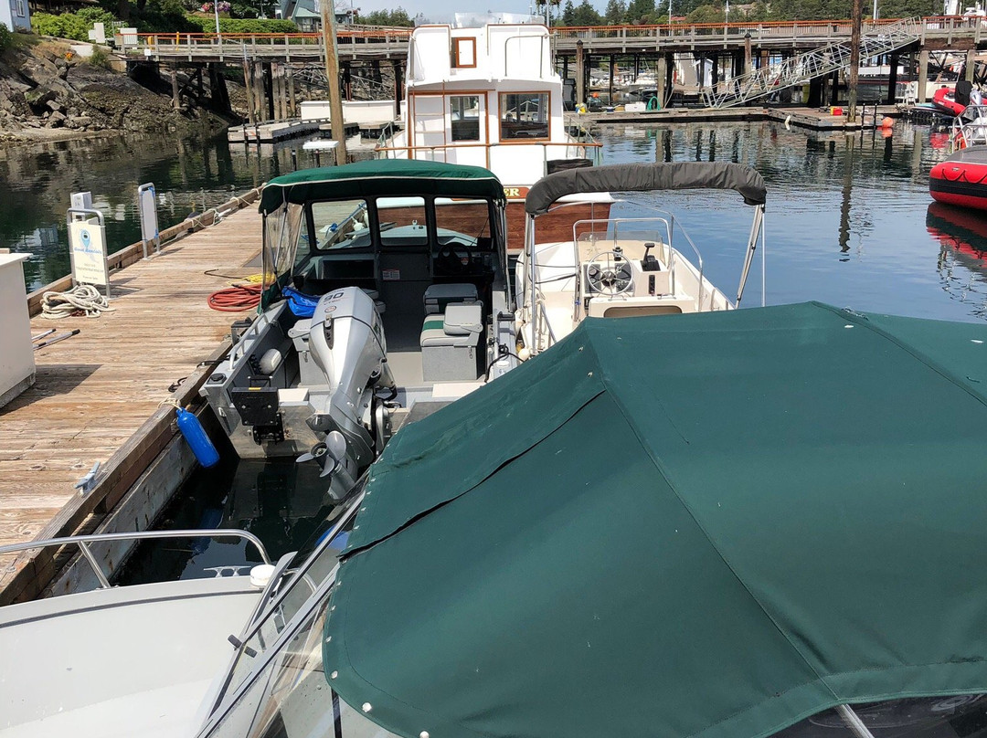 Friday Harbor Boat Rentals-星期五港湾必去景点