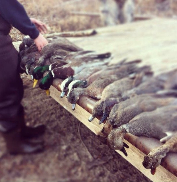 Tolar旅游攻略图片