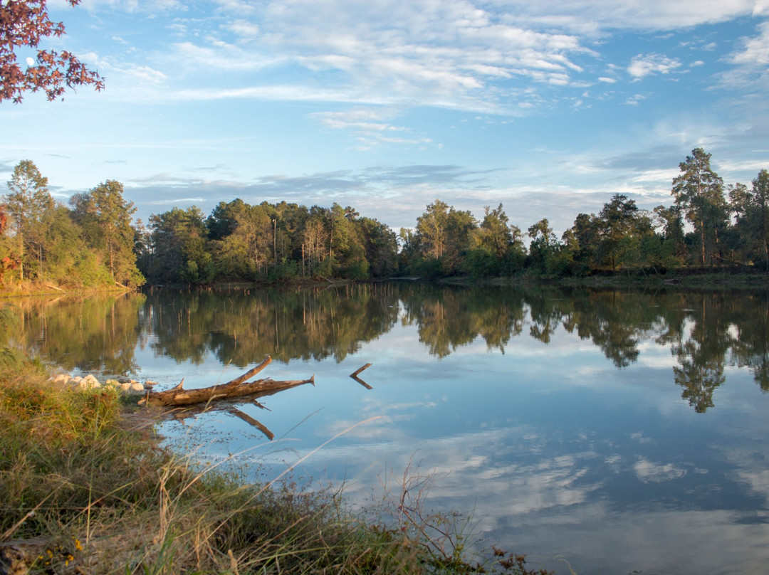 Kickerillo-Mischer Preserve-休斯顿必去景点