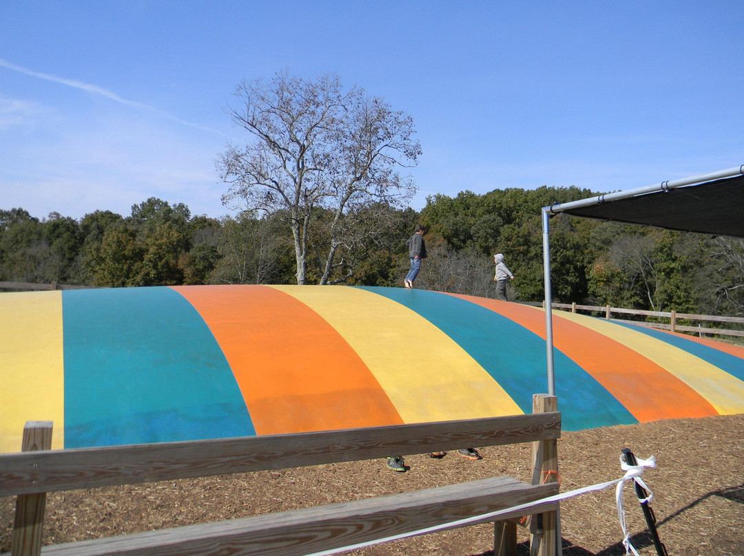 Decherd旅游景点-Grandaddy's Farm