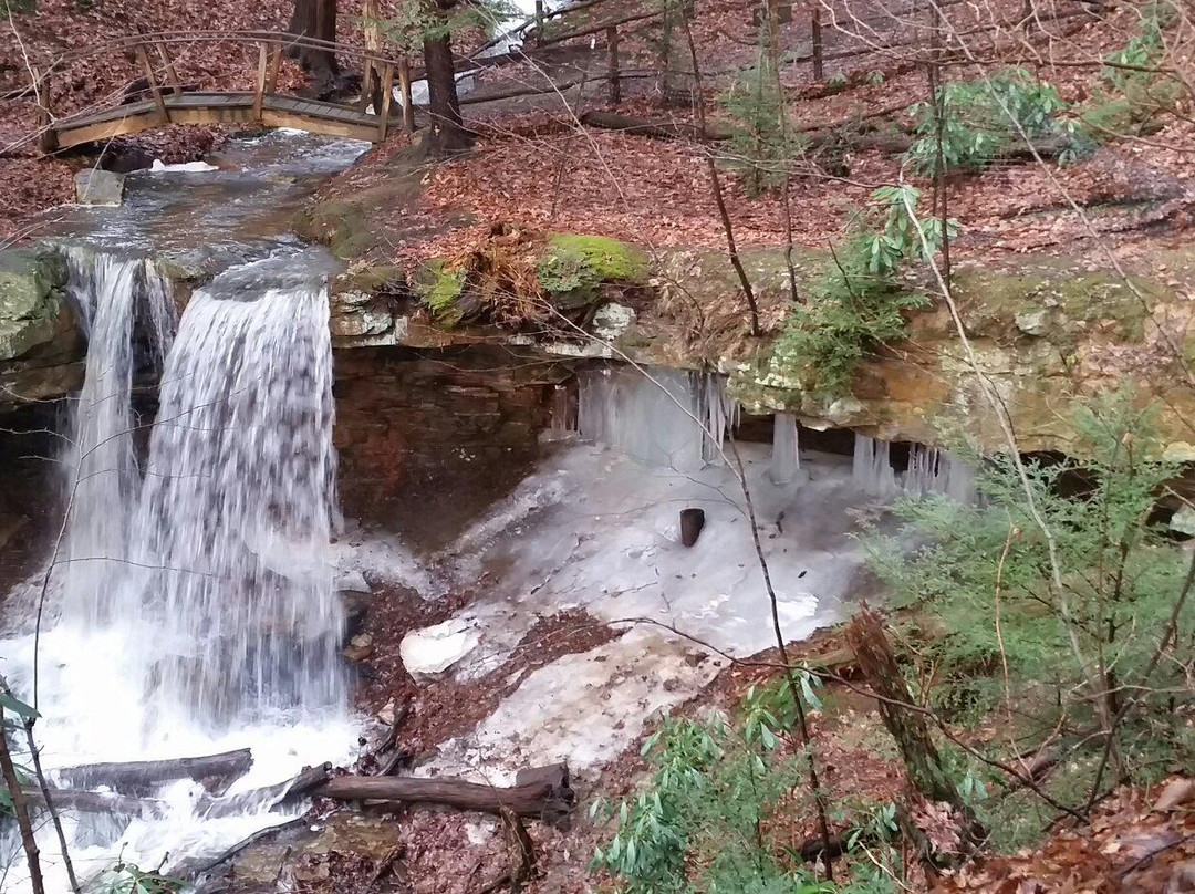 Linn Run State Park景点图片