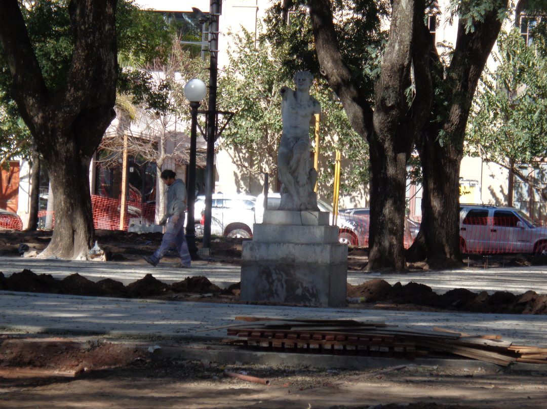 Plaza Pueyrredon景点图片