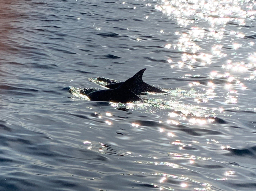 Ocean Odyssey-克尼斯纳必去景点