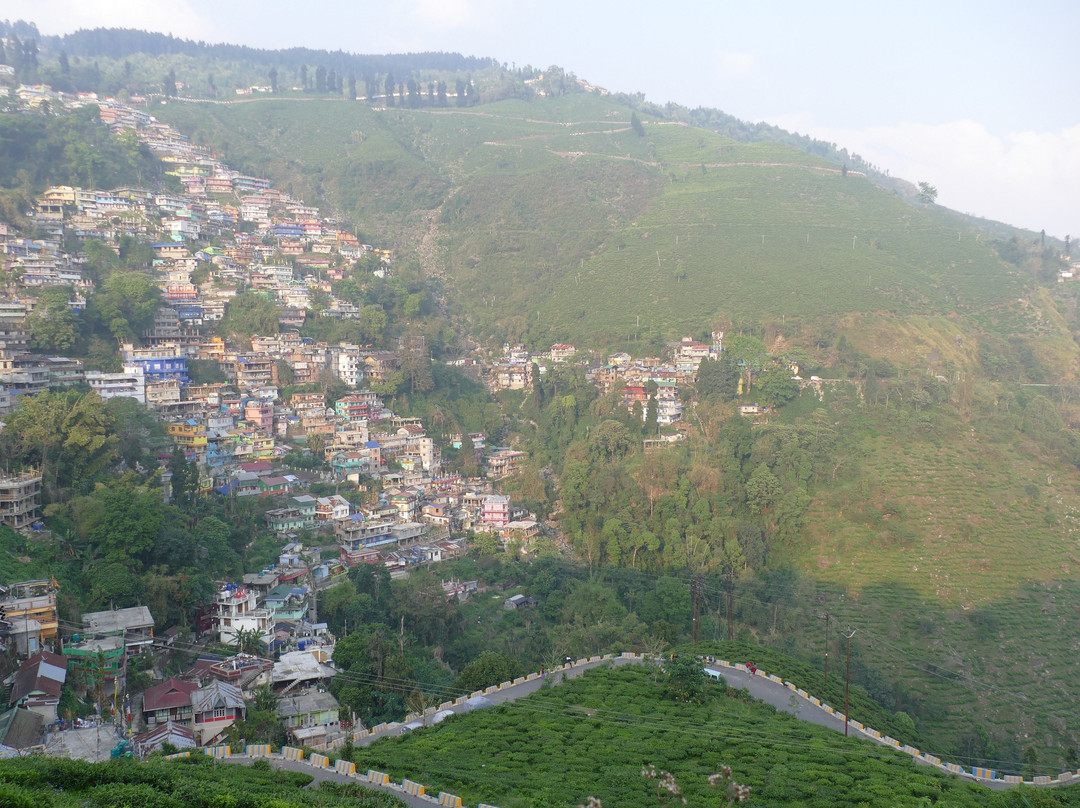 Dow Hill-大吉岭必去景点