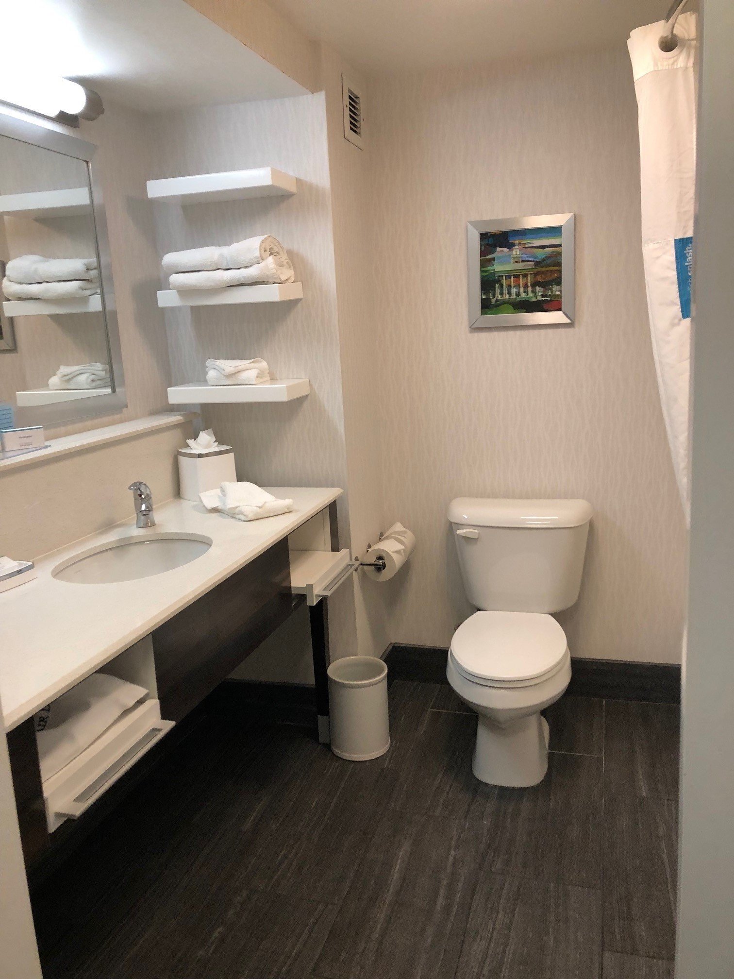 Hampton Inn Birmingham/trussville-浴室