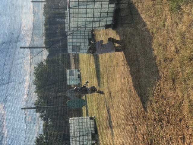 Montgomery Indoor Shooting Complex-蒙哥马利必去景点