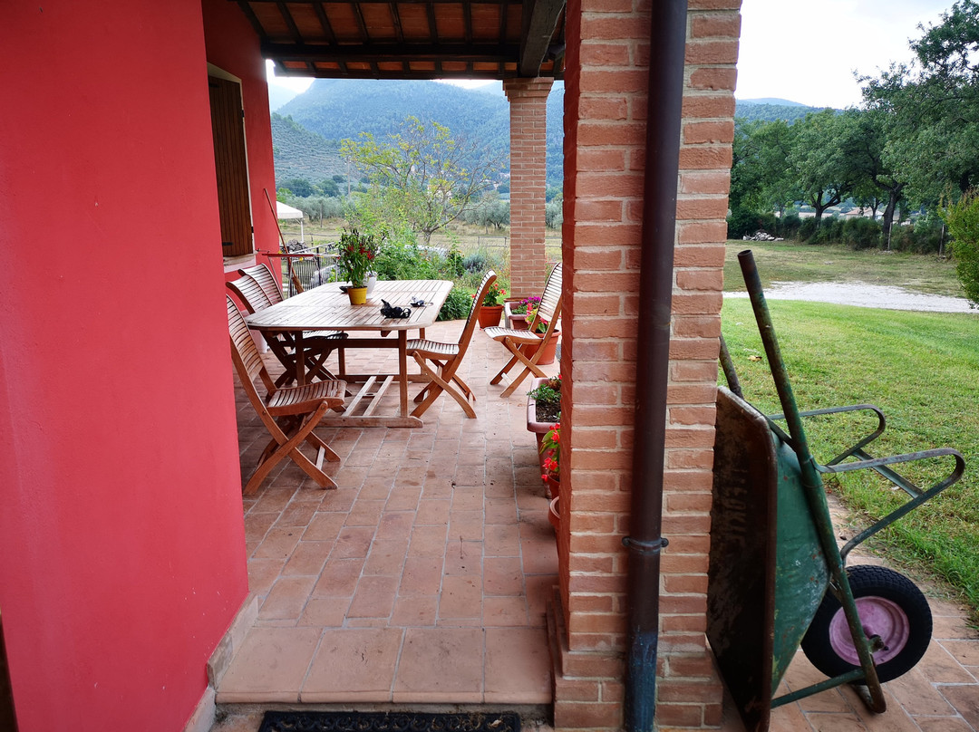 B&B Il Casinetto主图