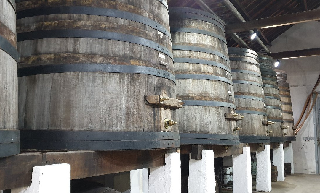 Museu Do Vinho De Alcobaca景点图片
