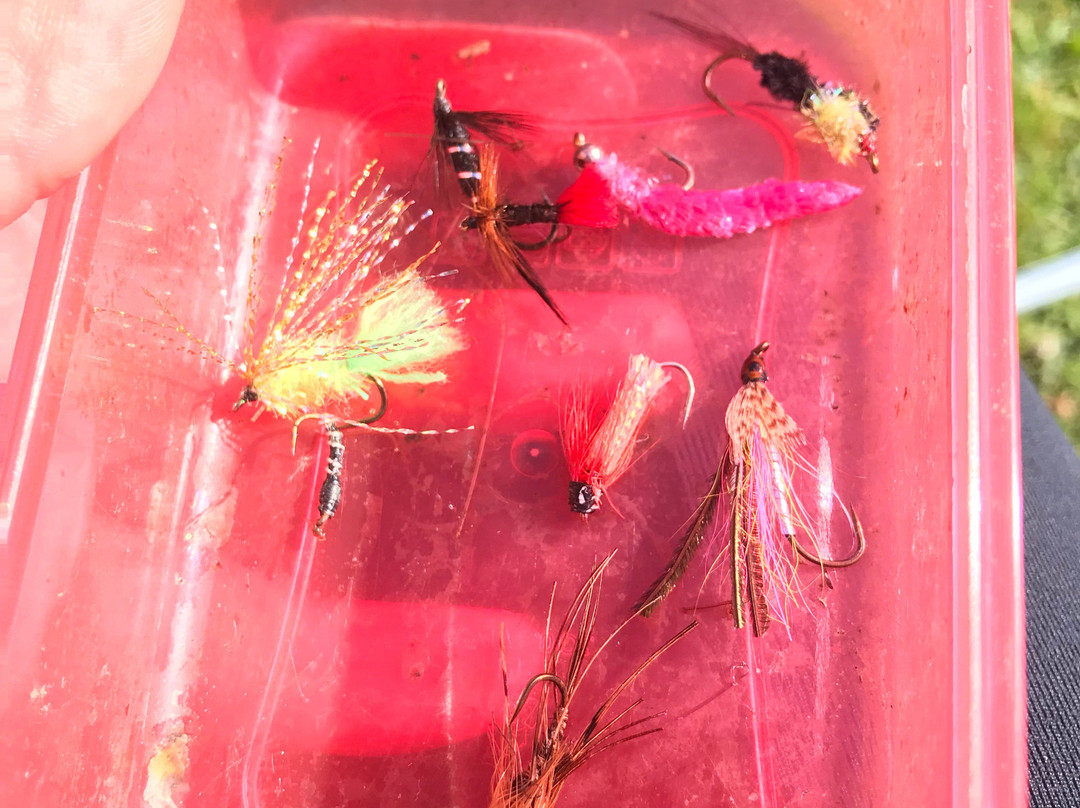 Annamoe Trout Fishery-Annamoe必去景点