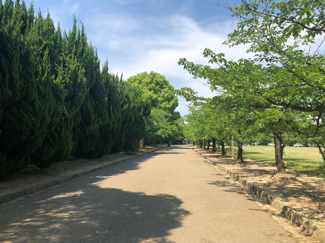Shiromidai Park-姬路市必去景点