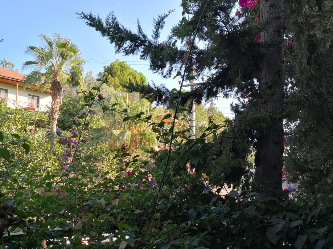 Patara Golden Pension主图