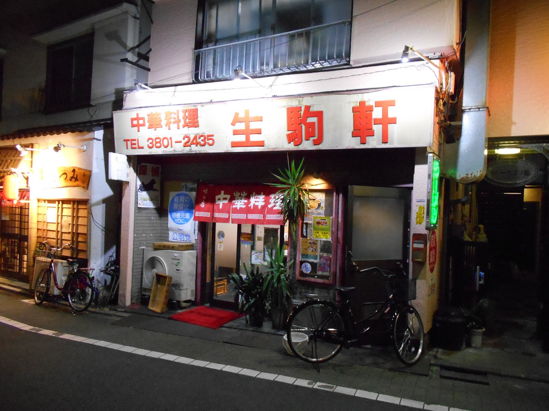 中華料理 生駒軒
