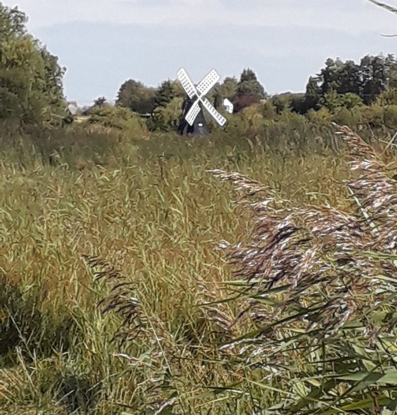 Wicken Fen National Nature Reserve景点图片