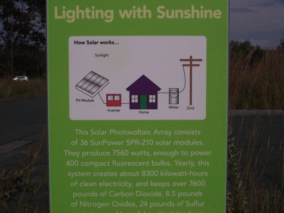 Albany Pine Bush Preserve-奥尔巴尼必去景点