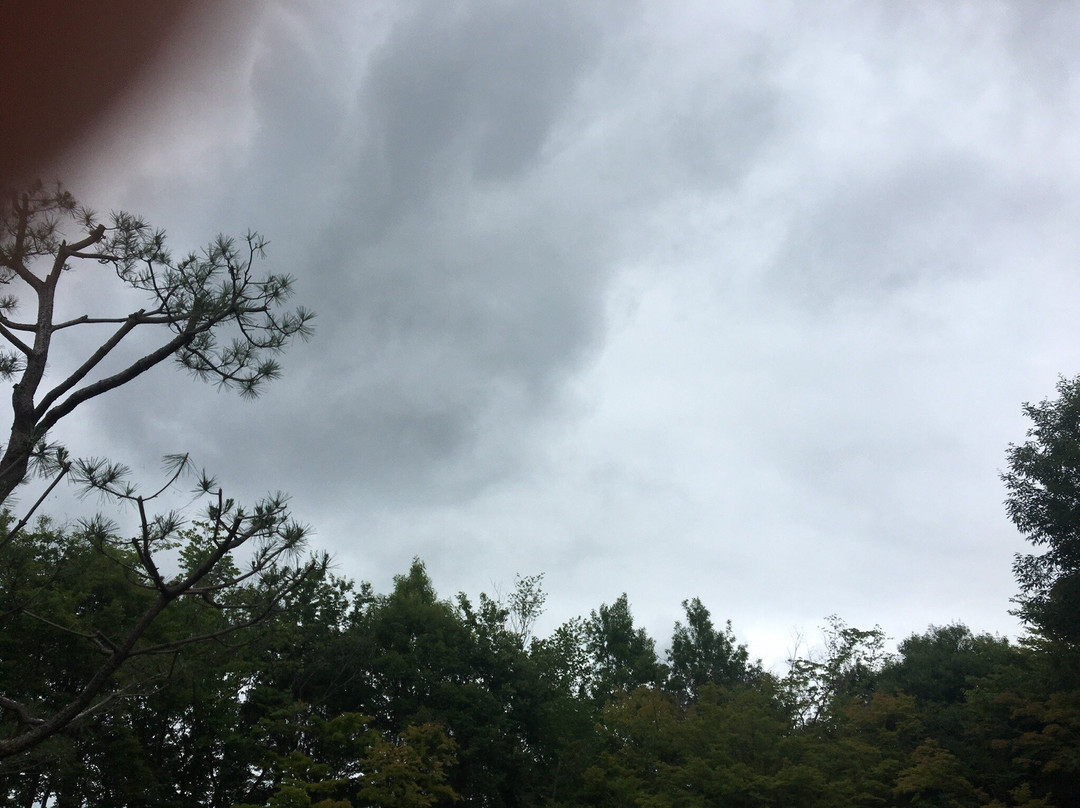 Nakago Service Area Outbound-北茨城市必去景点