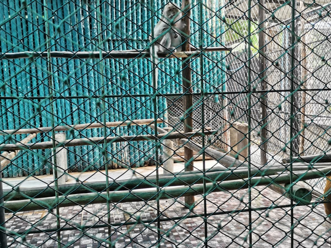 苏梅岛水族馆和老虎动物园景点图片