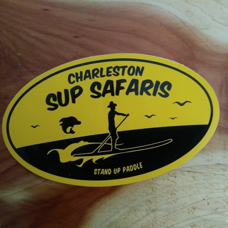 Charleston SUP Safaris-福利比奇必去景点