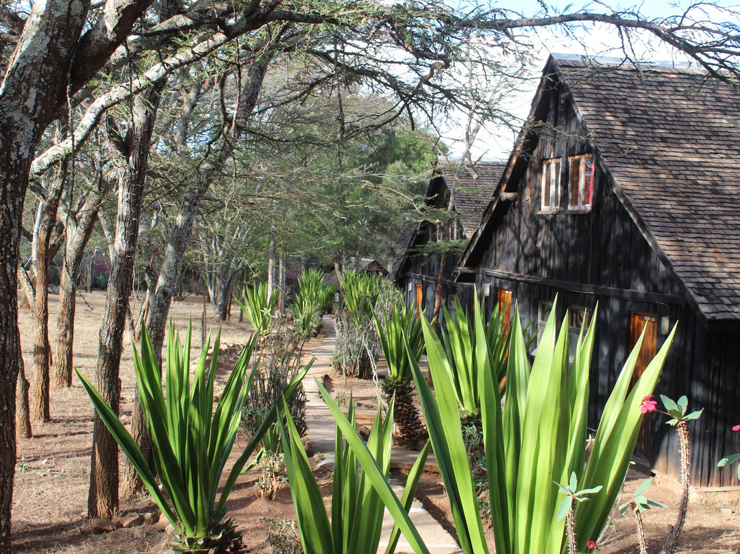 Maralal Safari Lodge主图