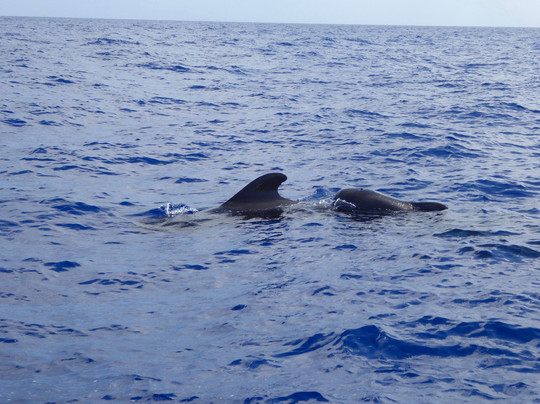 Ventura Nature Emotions-沙尔必去景点