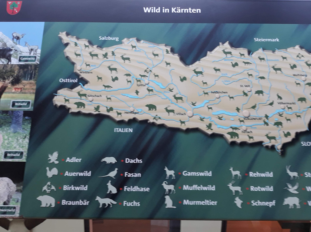 Schloss Ferlach Buechsenmacher und Jagdmuseum-Ferlach必去景点