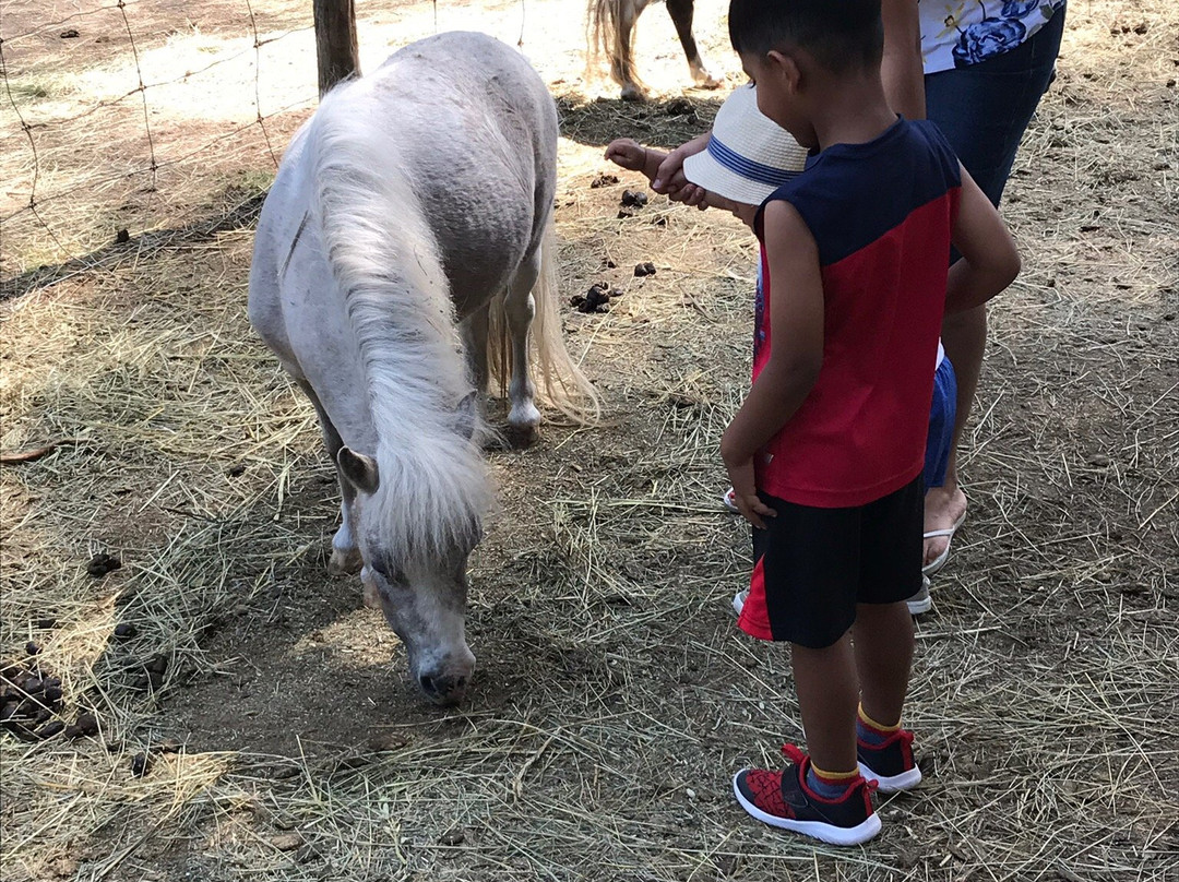 Mountain Creek Ranch-班克罗夫特必去景点
