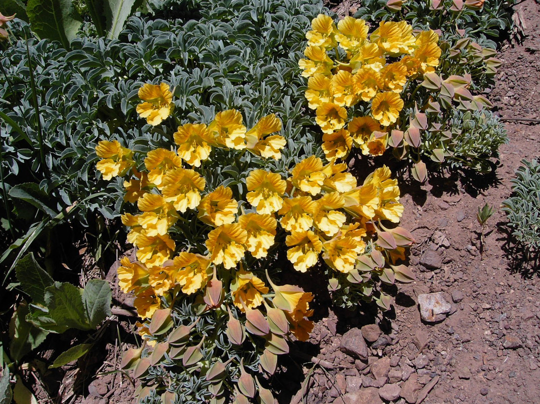Monumento Natural El Morado-圣若泽迈坡必去景点