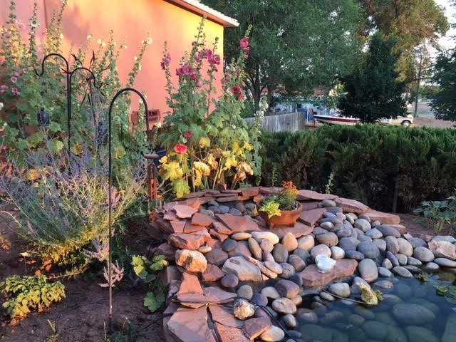 Savage Point Bed & Breakfast主图