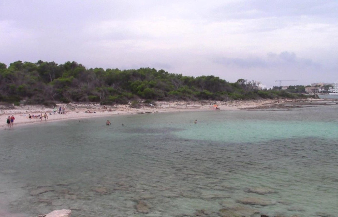 Platja Es Peregons-Campos必去景点