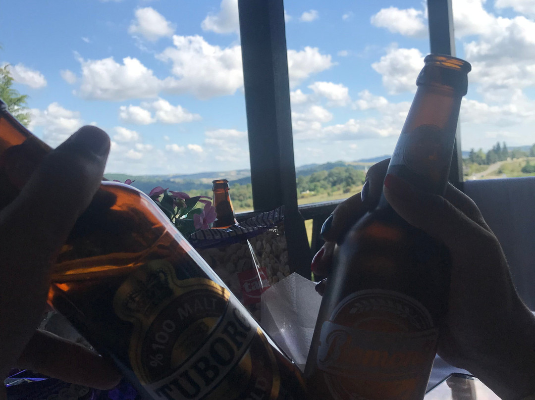 Villa Pine Garden主图