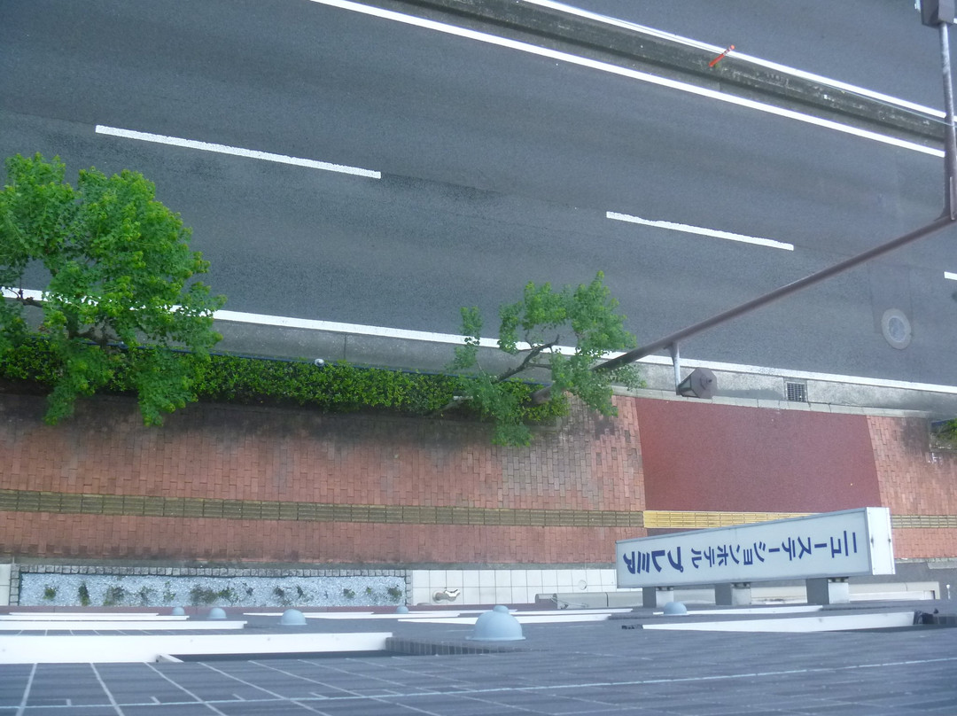 New Station Hotel Premiere主图