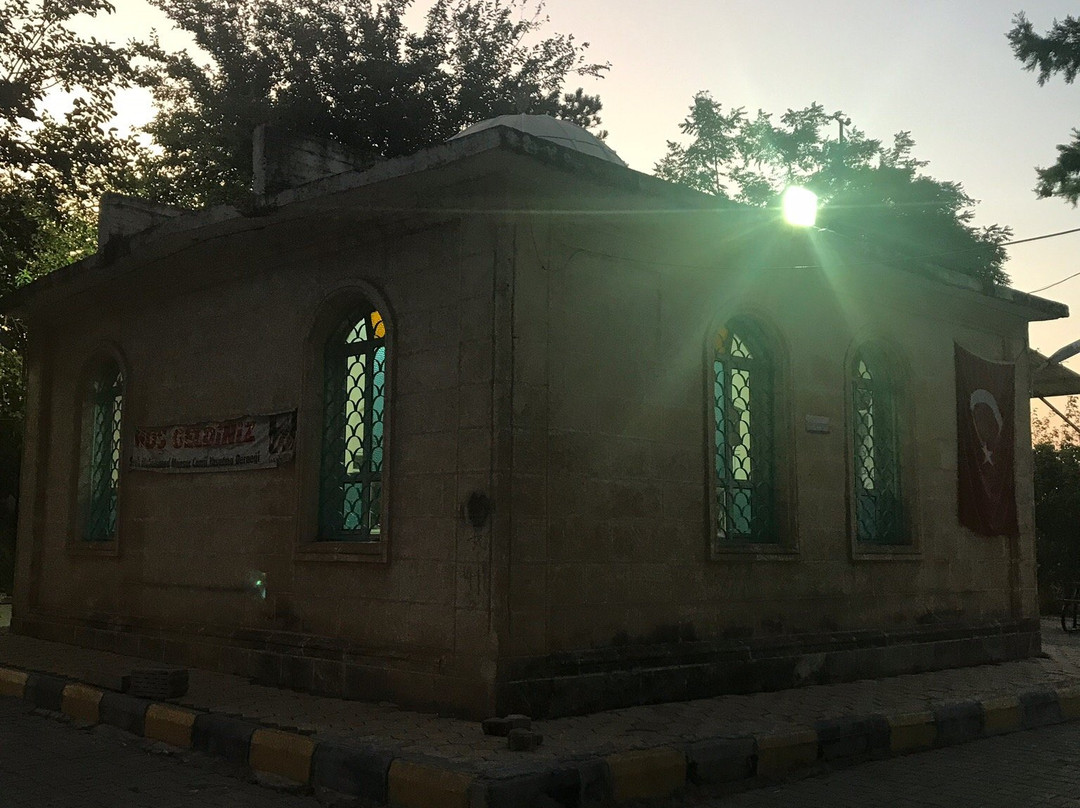 Seyh Mansur Turbesi景点图片