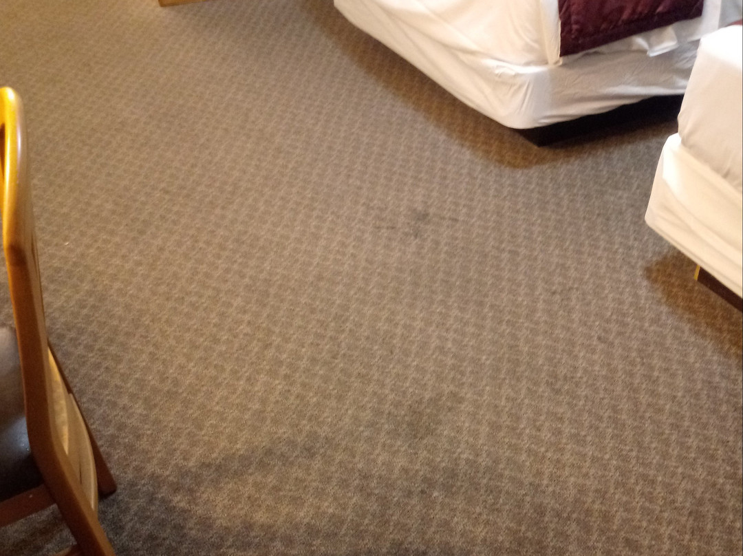 Swiss Alps Inn主图