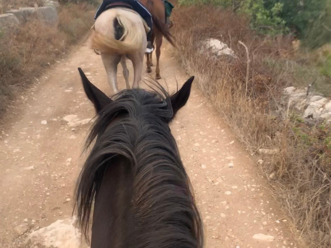 Cavallo Natura Iblea景点图片