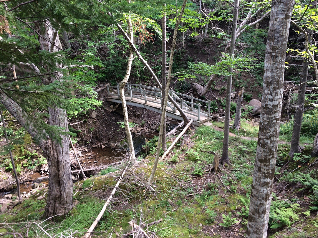 Gampo Abbey Monastery-Pleasant Bay必去景点