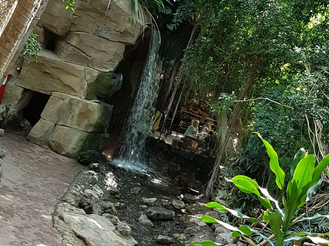 Center Parcs Het Heijderbos主图