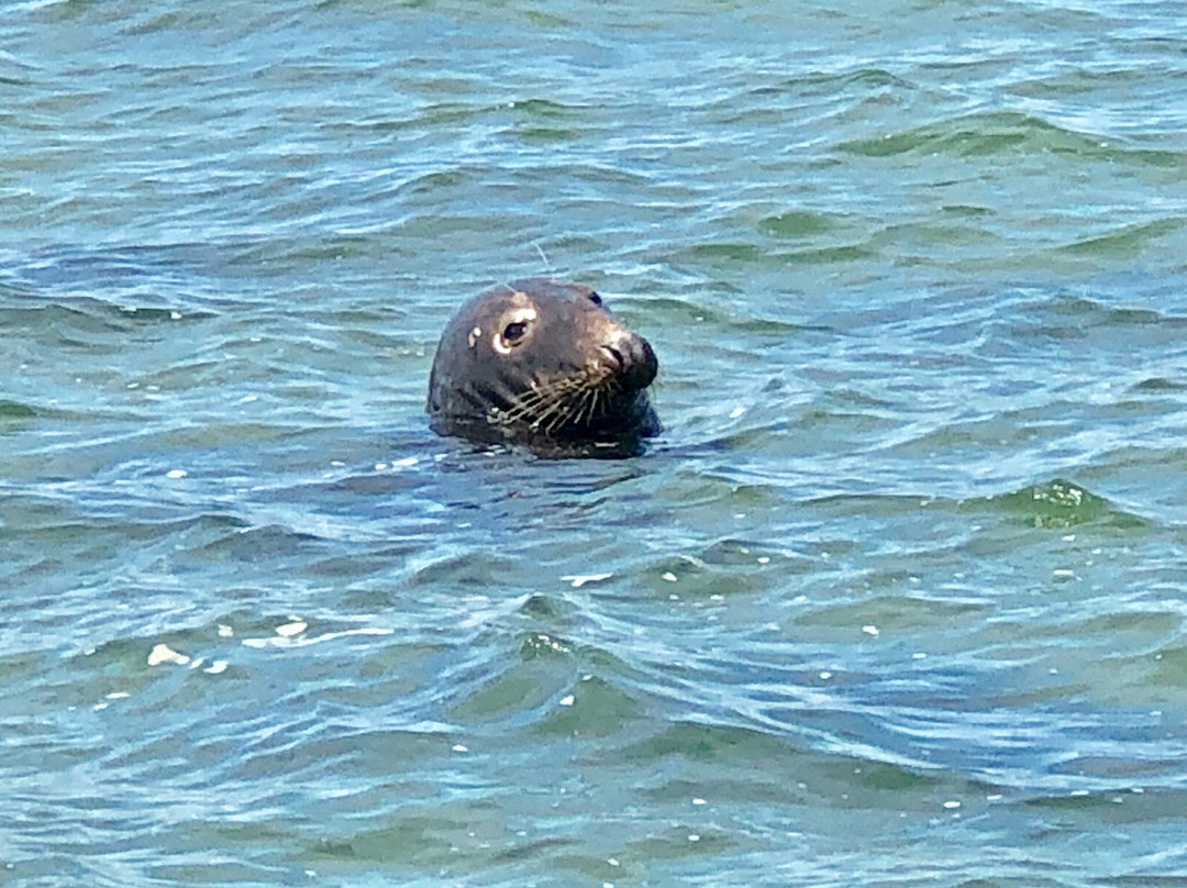 Beachcomber Tours-查塔姆必去景点